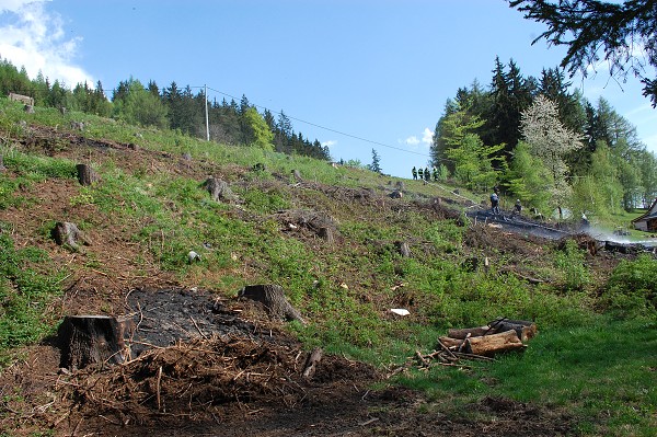 Požár lesa - Rtyně v Podkr., 1.5.2012
