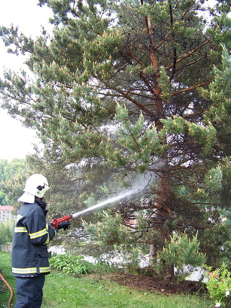 Požár stromu, Úpice- 21.5.2012