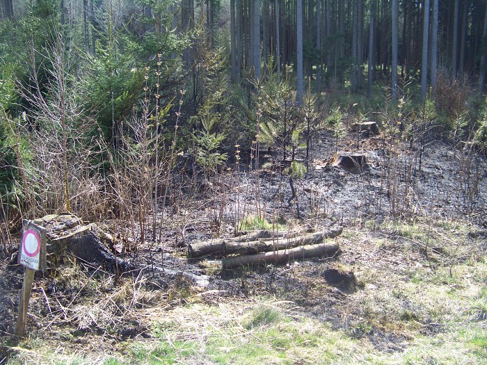 Požár lesa, Markoušovice - 2.4.2014